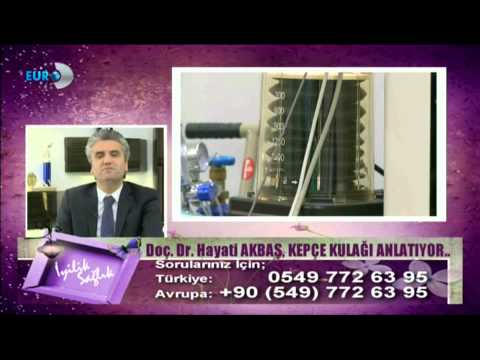 Doç.Dr.Hayati Akbaş - Kepçe Kulak Estetiği - Euro D